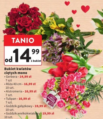 Bukiet kwiatów ciętych Goździk wielokwiatowy 10 szt. Intermarche promocja w Intermarche