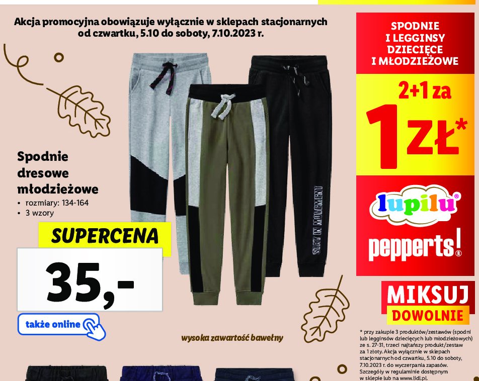 Spodnie dresowe m艂odzie偶owe 134-164 Lupilu promocja