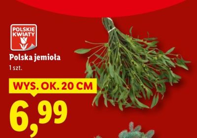 Jemioła Polska promocja w Lidl