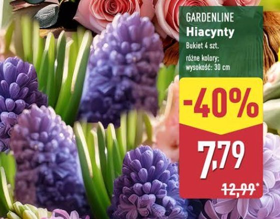 Hiacynty GARDEN LINE promocja