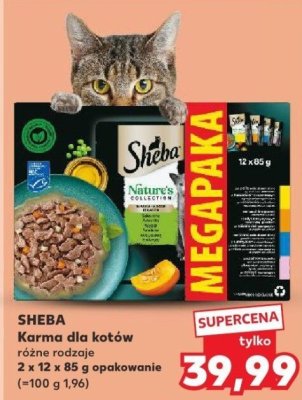 Karma dla kotów Sheba różne rodzaje promocja w Kaufland