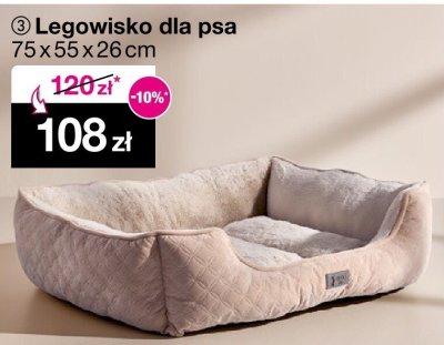 Legowisko dla psa 70 x 40 x 11 cm promocja w Woolworth