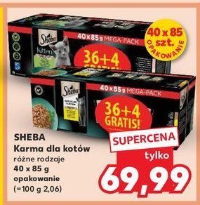 Karma dla kota drobiowe smaki Sheba selection promocja