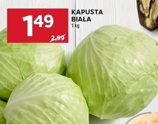 Kapusta biała promocja w Stokrotka