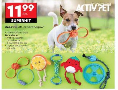 Wędka dla kota Activ pet promocja