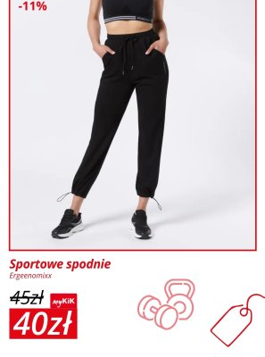 Sportowe spodnie Ergeenomixx promocja w KiK