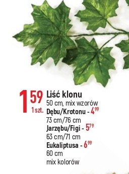 Li艣膰 jarz臋bu promocja