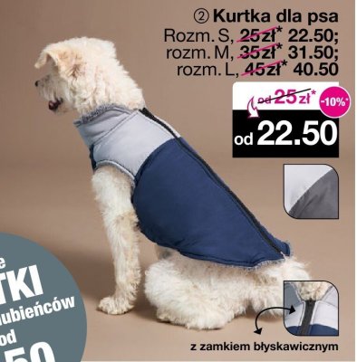 Kurtka dla psa rozmiar S promocja w Woolworth