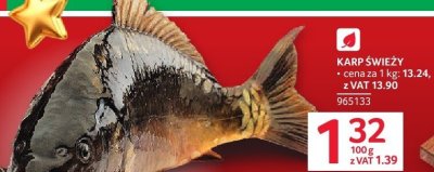 Karp świeży promocja w Selgros