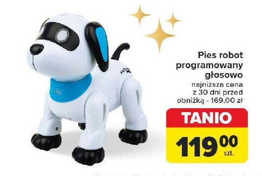 Pies robot promocja