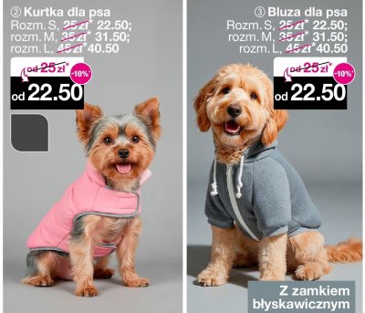 Bluza dla psa promocja w Woolworth
