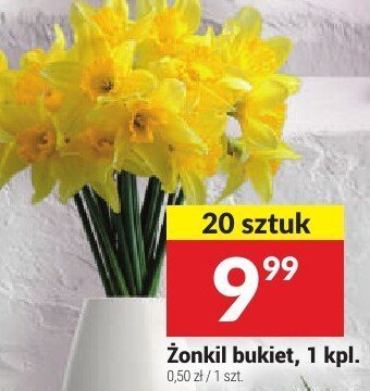 Żonkil bukiet promocja w Twój Market