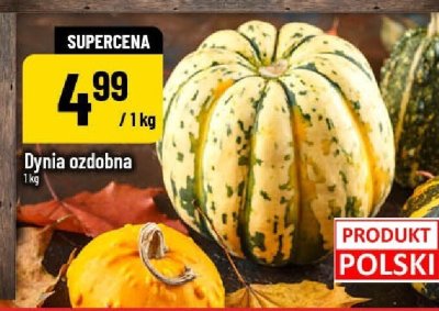 Dynia promocja w POLOmarket