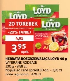 Herbata rozgrzewająca śliwka z cynamonem i figą Loyd tea the magic experience promocja