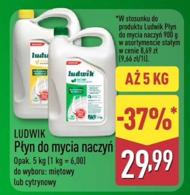 Płyn do mycia naczyń LUDWIK różne rodzaje do wyboru: miętowy lub cytrynowy promocja w Aldi