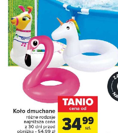 Jednoro偶ec dmuchany promocja