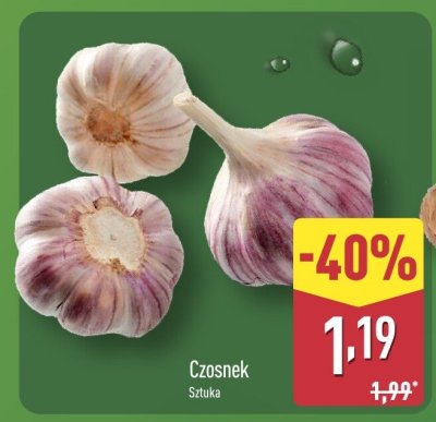 Czosnek 1 szt. promocja w Aldi
