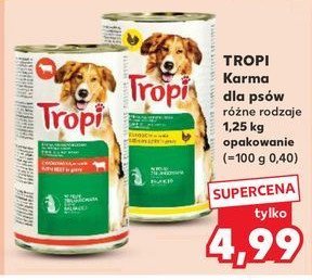 Karma dla psa z kurczakiem promocja