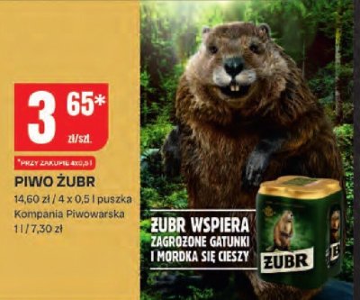Piwo Żubr promocja w Chorten