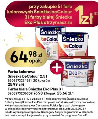 Farba kolorowa Śnieżka beColour 2,5 l promocja w Castorama