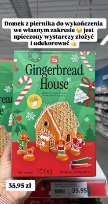 Domek z piernika Gingerbread House diy 765g promocja w Action