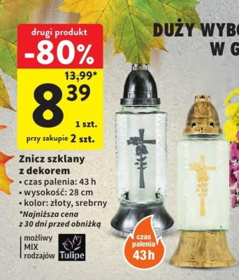 Znicz promocja w Intermarche