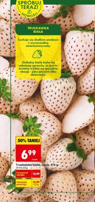 Truskawka biała 175 g promocja w Biedronka