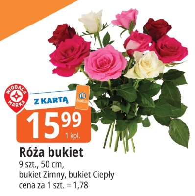 Róża bukiet promocja w Leclerc
