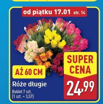 Róże długie 60 cm promocja