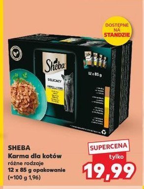 Karma dla kota smaki drobiowe w galaretce Sheba delicacy in jelly promocja