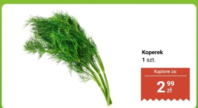Koperek 1 szt. promocja w Biedronka