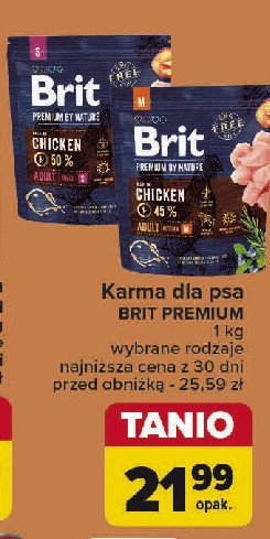 Karma dla psa jagnięcina z ryżem BRIT PREMIUM AND NATURE promocja