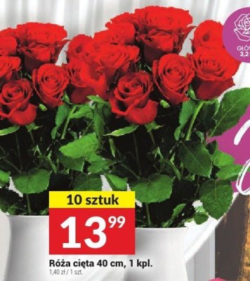Róża cięta 40 cm, 1 kpl. promocja w Twój Market