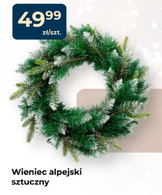 Wieniec alpejski sztuczny promocja w PSB Mrówka