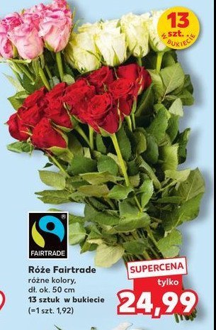 Róże fairtrade promocja w Kaufland