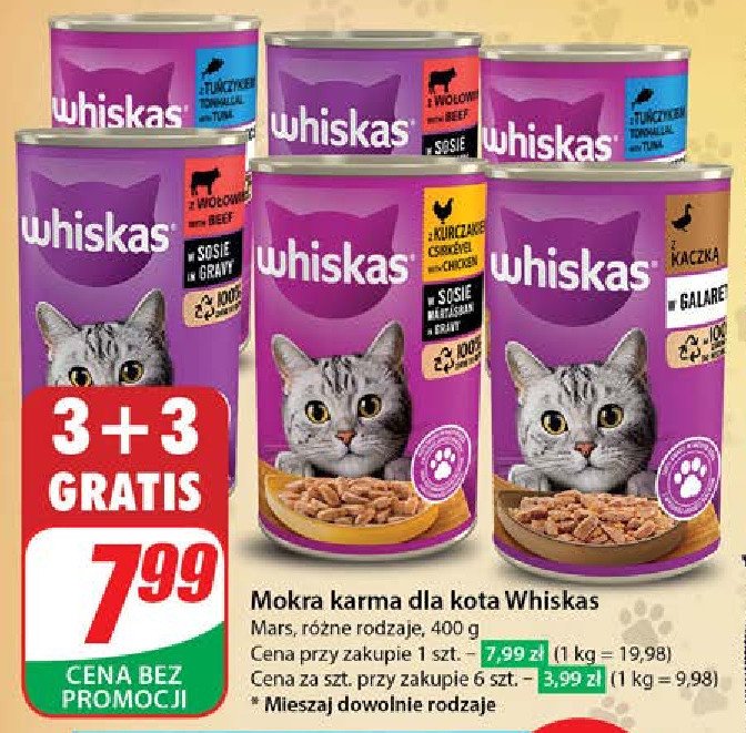 Karma dla kota z tu艅czykiem Whiskas promocja