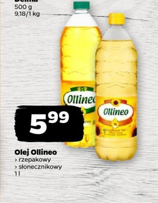Olej rzepakowy promocja w Netto