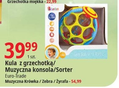 Zebra muzyczna BAM BAM promocja