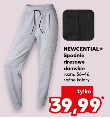 Spodnie dresowe damskie różne kolory promocja w Kaufland