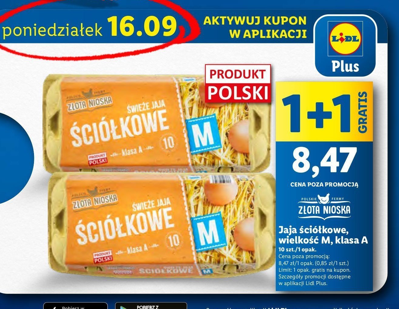 Jaja ściółkowe kl. m Złota nioska promocja