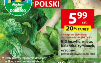 BIO bazylia, mięta, kolendra, tymianek, oregano, polska uprawa ekologiczna promocja w Auchan