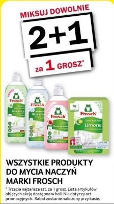Produkty do mycia naczyń Frosch różne rodzaje promocja w Selgros