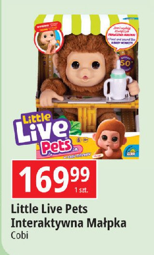 Małpka interaktywna little live pets Cobi promocja w Leclerc