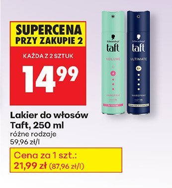Lakier do włosów Taft, 250 ml promocja w Biedronka