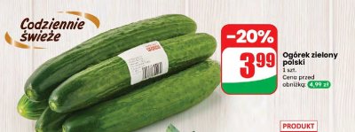 Ogórek zielony polski 1 szt. promocja w Dino