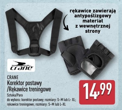 CRANE Korektor postawy promocja w Aldi