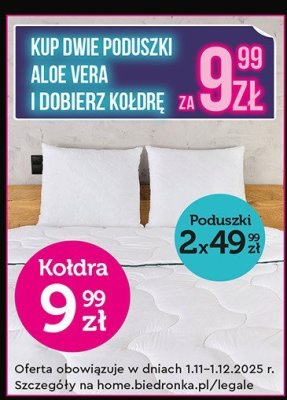 Poduszki Aloe Vera 2-pak promocja w Biedronka