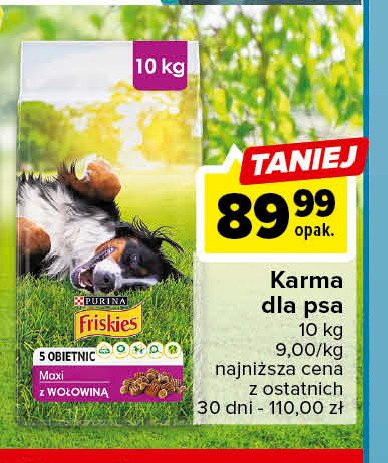 Karma dla psa maxi Friskies vitafit Purina friskies promocja