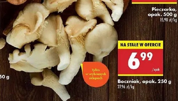 Boczniak promocja