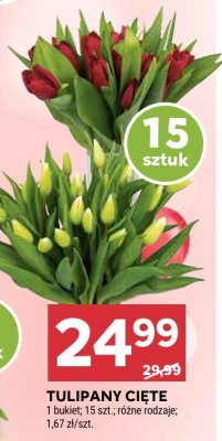 Tulipany cięte 15 szt. promocja w Stokrotka